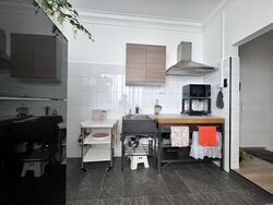 Frankel Estate (D15), Shop House #593637871